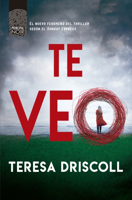 E-kniha Te veo Teresa Driscoll
