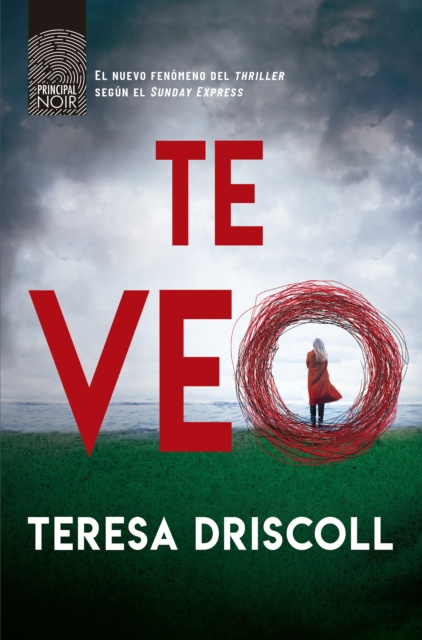 E-book Te veo Teresa Driscoll