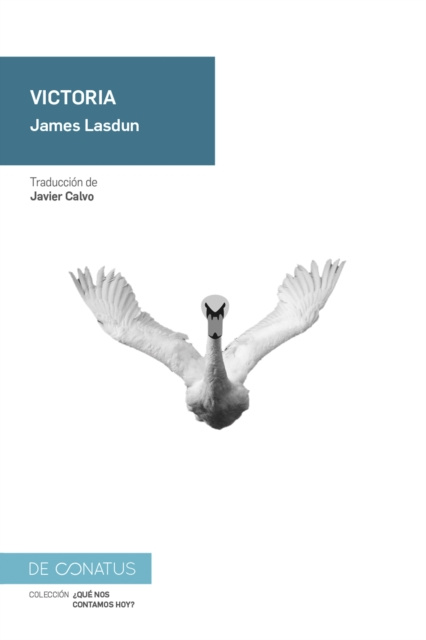 E-book Victoria James Lasdun