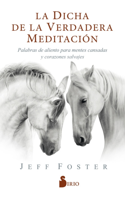 E-kniha La dicha de la verdadera meditacion Jeff Foster