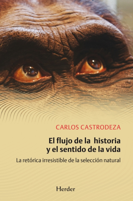 E-kniha El flujo de la historia y el sentido de la vida Carlos Castrodeza Ruiz de la Cuesta