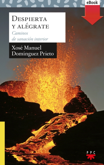 E-kniha Despierta y alegrate Xose Manuel Dominguez Prieto