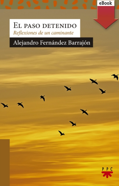 E-book El paso detenido Alejandro Fernandez Barrajon