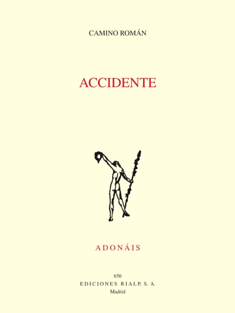 E-Book Accidente Camino Roman Alvarez