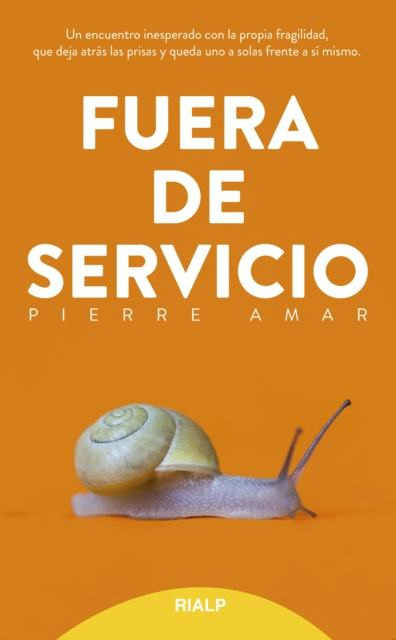 E-book Fuera de servicio Pierre Amar