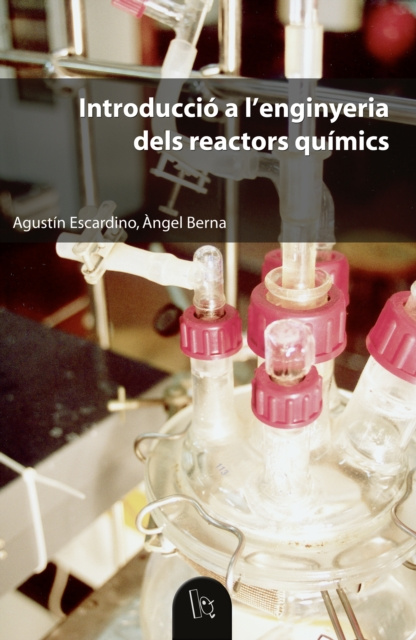 E-book Introduccio a l'enginyeria dels reactors quimics Angel Berna Prats