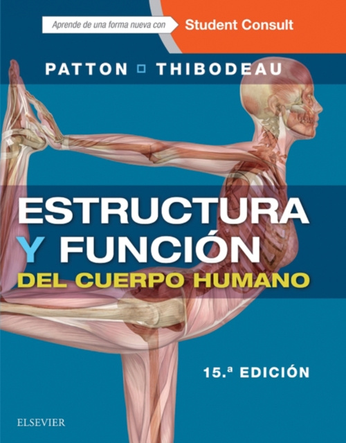E-kniha Estructura y funcion del cuerpo humano Kevin T. Patton