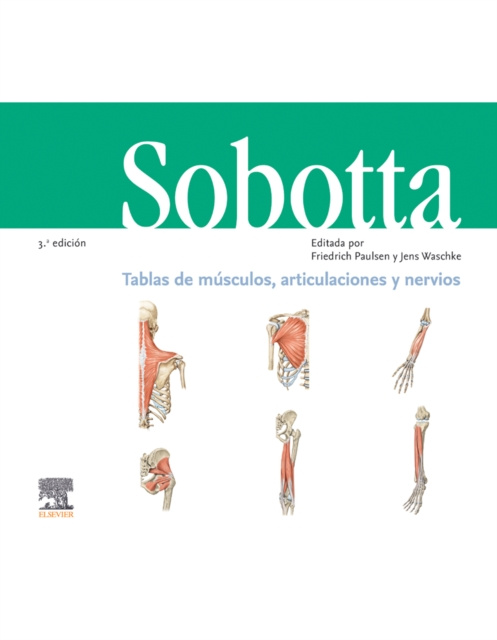 E-book Sobotta. Cuaderno de tablas. Musculos, articulaciones y nervios Friedrich Paulsen