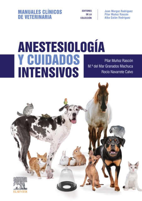 E-book Anestesiologia y cuidados intensivos Pilar Munoz Rascon