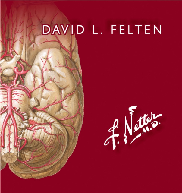 E-kniha Netter. Flashcards de neurociencia David L. Felten