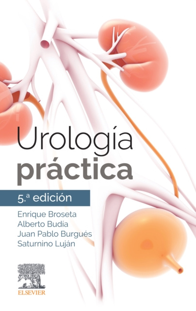 E-kniha Urologia practica Enrique Broseta Rico