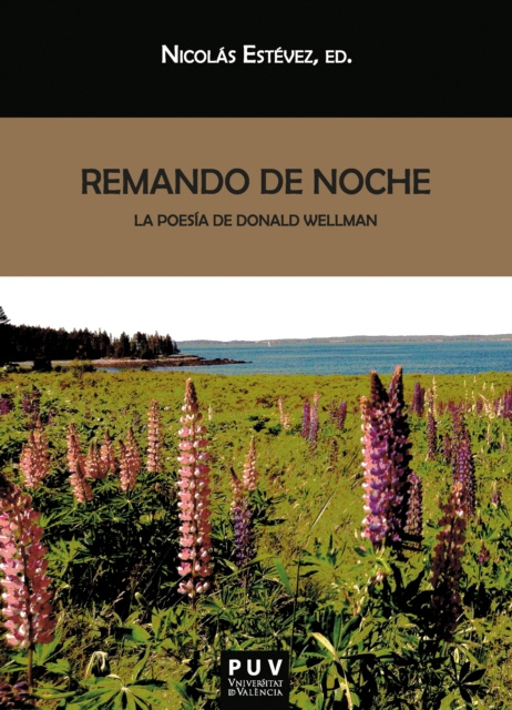 E-book Remando de noche Donald Wellman