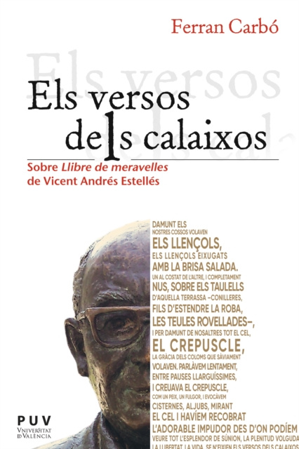 E-book Els versos dels calaixos Ferran Carbo Aguilar