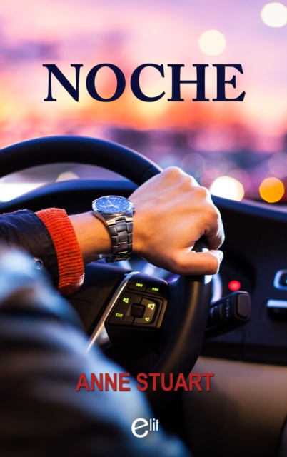 E-book Noche Anne Stuart