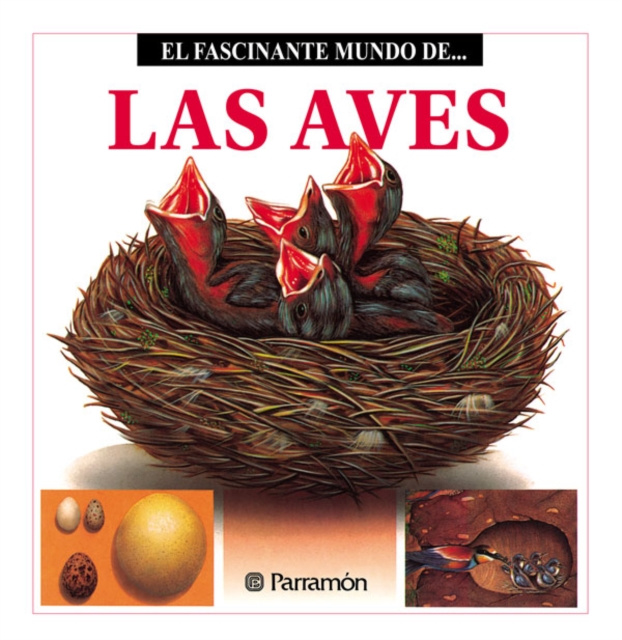 E-book Las Aves Maira Angels Julivert