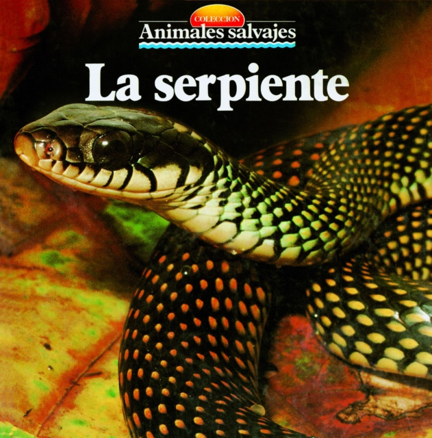 E-book La serpiente Equipo Parramon