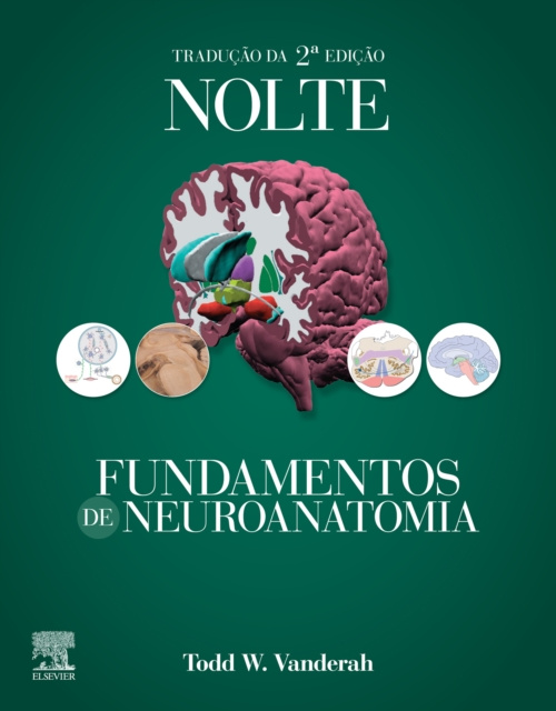 E-book Nolte Fundamentos de Neuroanatomia Todd Vanderah