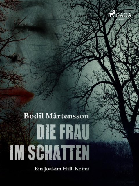 E-kniha Die Frau im Schatten Bodil Martensson