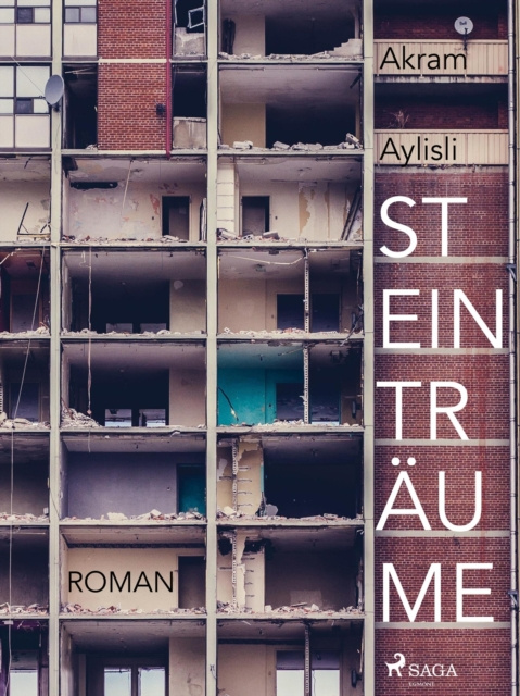 Libro elettronico Steintraume - Ein Requiem Akram Ailisli