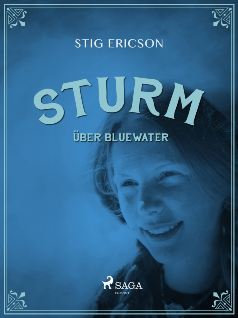 E-kniha Sturm uber Bluewater Stig Ericson