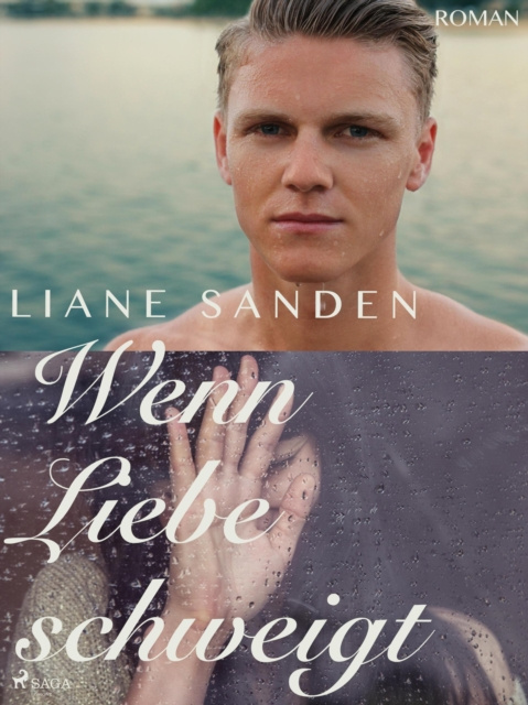 E-book Wenn Liebe schweigt Liane Sanden