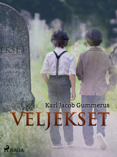 E-book Veljekset Gummerus Karl Jacob Gummerus
