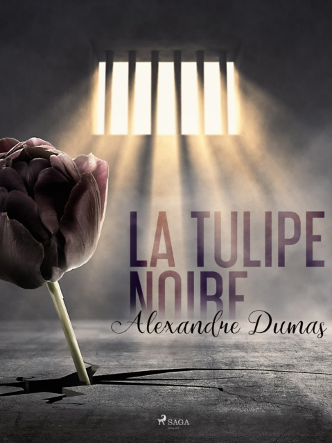 E-kniha La Tulipe noire Alexander Dumas