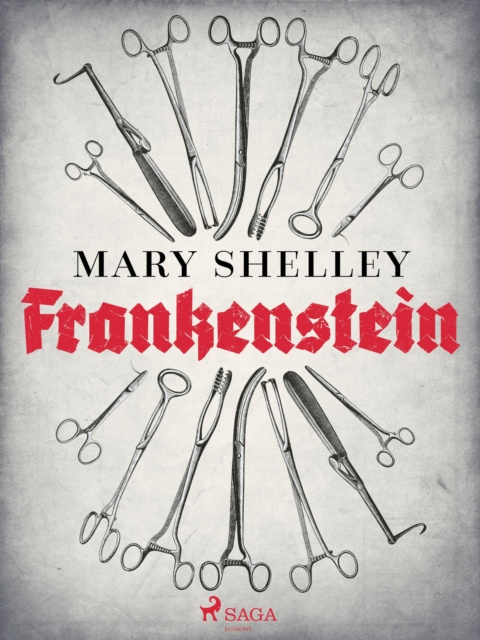 E-book Frankenstein Mary Shelley