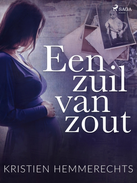 E-book Een zuil van zout Kristien Hemmerechts