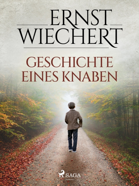 E-book Geschichte eines Knaben Ernst Wiechert
