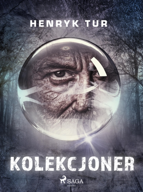 E-book Kolekcjoner Henryk Tur