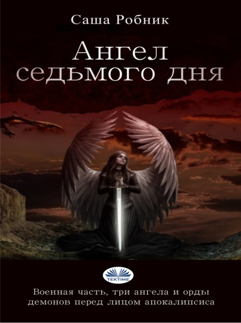 E-kniha Angel Sasa Robnik