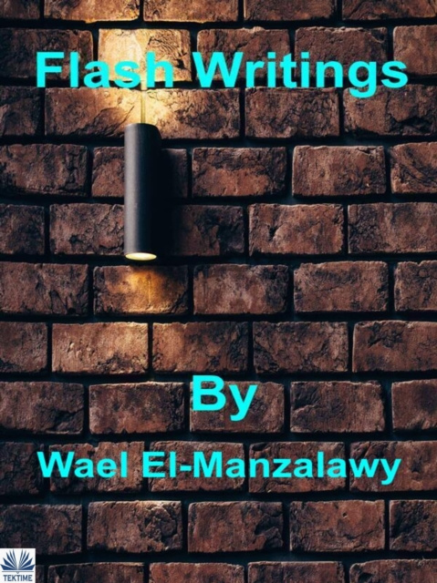 E-book Flash Writings Wael El-Manzalawy