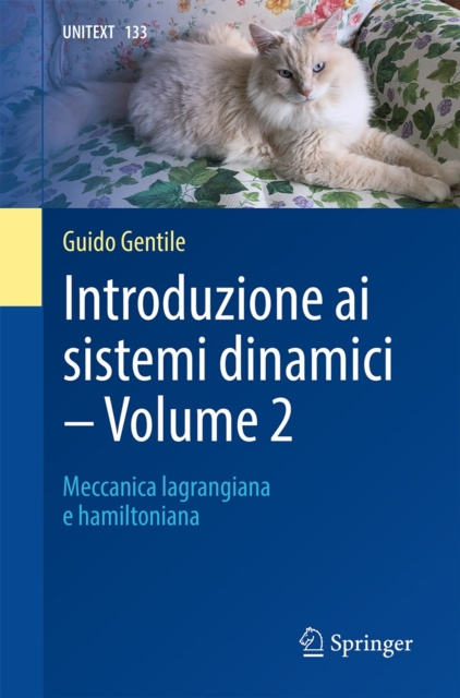 E-book Introduzione ai sistemi dinamici - Volume 2 Guido Gentile