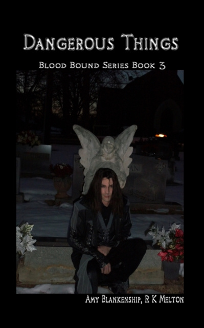 Livre numérique Dangerous Things (Blood Bound Book 3) Amy Blankenship