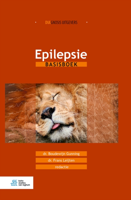E-kniha Epilepsie Boudewijn Gunning