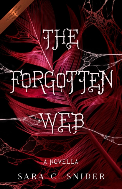 E-Book Forgotten Web Sara C Snider