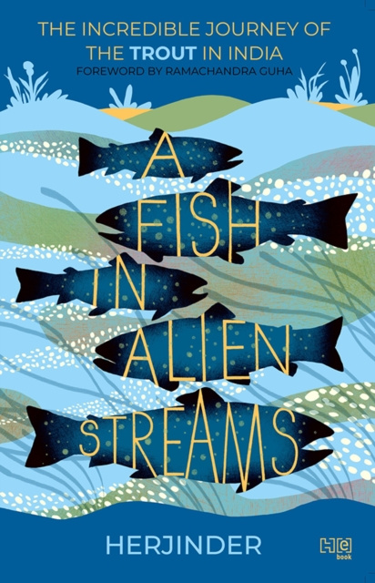 E-knjiga Fish in Alien Streams Herjinder Singh Sahni