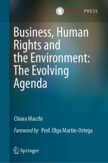 E-kniha Business, Human Rights and the Environment: The Evolving Agenda Chiara Macchi