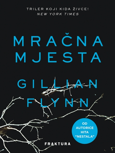 E-kniha Mracna mjesta Gillian Flynn