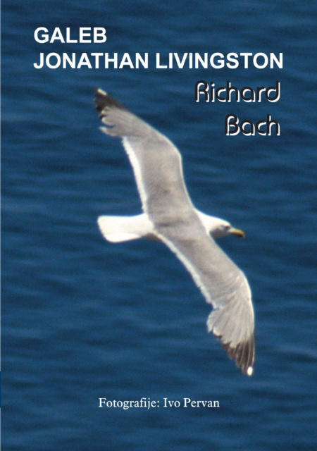 E-kniha Galeb Jonathan Livingston Richard Bach