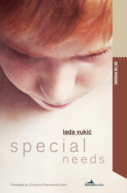 E-book Special Needs Lada Vukic