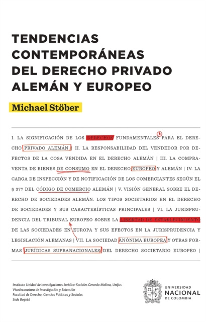 E-book Tendencias contemporaneas del derecho privado aleman y europeo Michael Stober