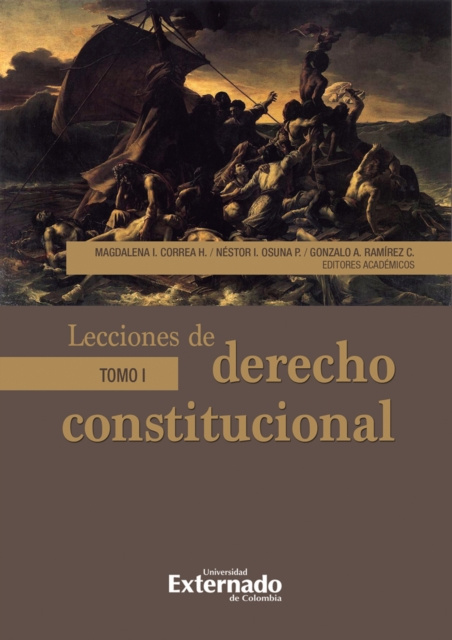 E-book Lecciones de derecho constitucional Paola Andrea Acosta Alvarado