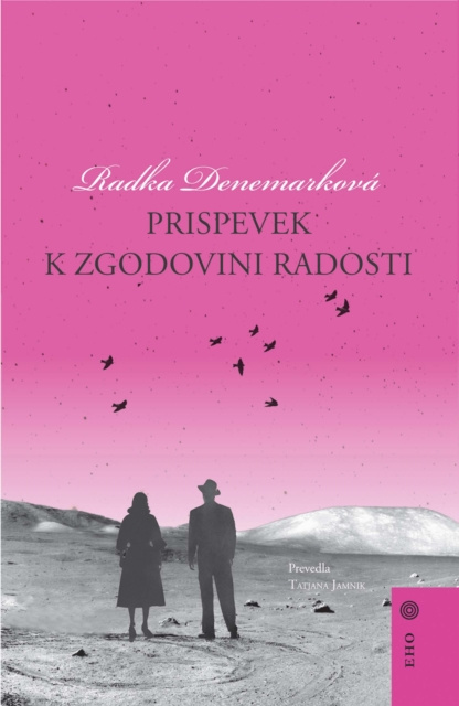 E-book Prispevek k zgodovini radosti Radka Denemarkova