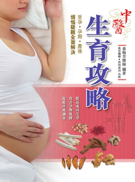 E-kniha TCM Birth Strategy Huang Meifang