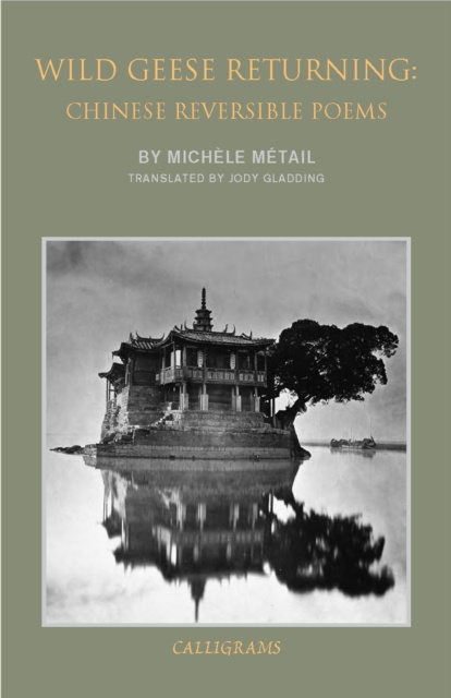 E-book Wild Geese Returning Michele Metail