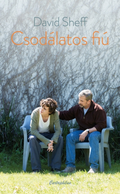 E-book Csodalatos fiu David Sheff