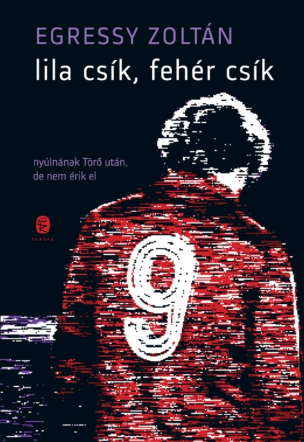 Libro elettronico Lila csik, feher csik Egressy Zoltan