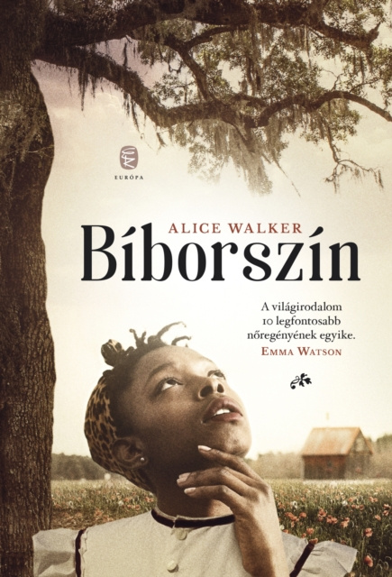 E-Book Biborszin Alice Walker